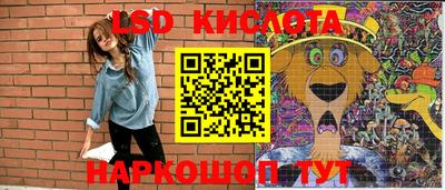мдпв Гусев