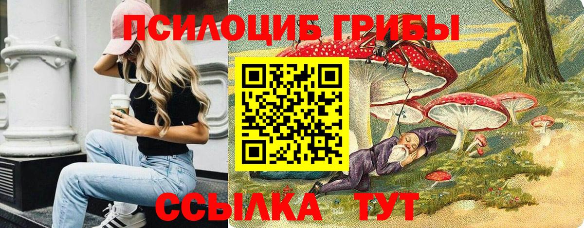 закладки  Галлюциногенные грибы мицелий  Вход с VPN  Камышлов 